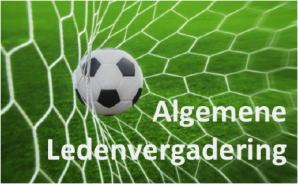 Algemene Leden Vergadering